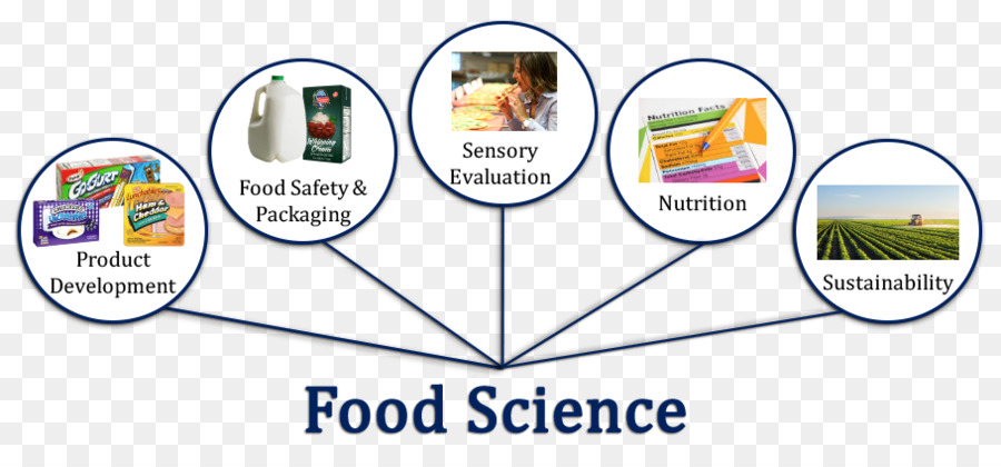 Food Science and Engineering